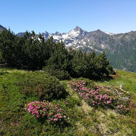 Muehlnerhof Familie Gruber Bed and Breakfast Aich  Εξωτερικό φωτογραφία
